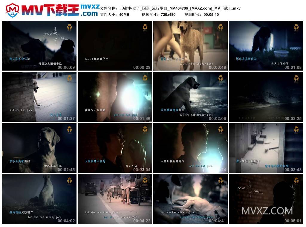 王啸坤-走了_国语_流行歌曲_MA404706